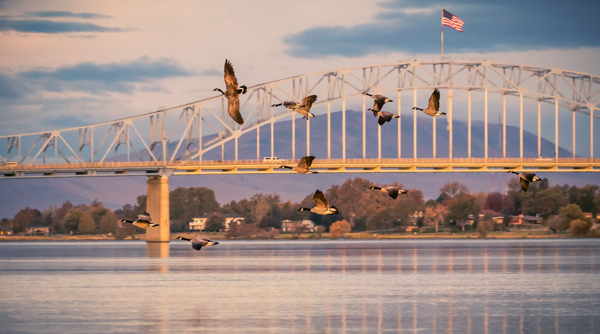 Bridge over calm water at sunset, with a U.S. flag and birds in flight.