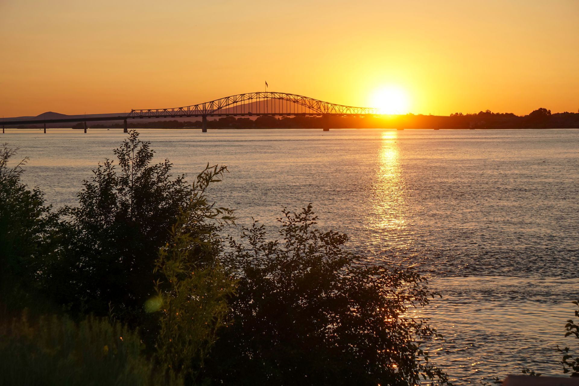 Sunset over a bridge spanning calm water, with silhouetted shrubs in the foreground