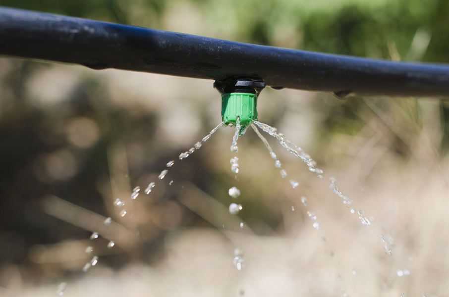 Water Droplets Trickling From a Drip Emitter in Action — Irrigation Services in Townsville