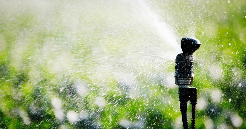 Automated Sprinkler System Watering the Grass — Irrigation Services in Townsville