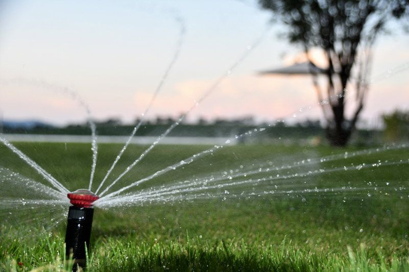 Sprinkler Watering  the Lawn — Irrigation in Townsville