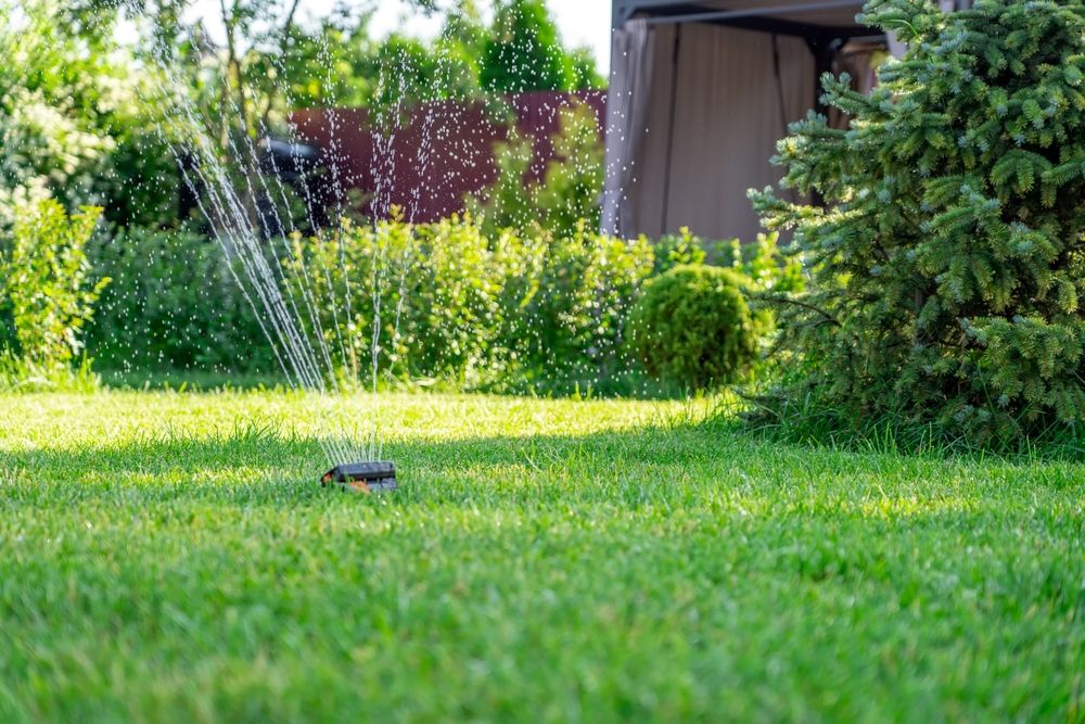 Residential Irrigation Systems in Townsville Affordable Irrigation