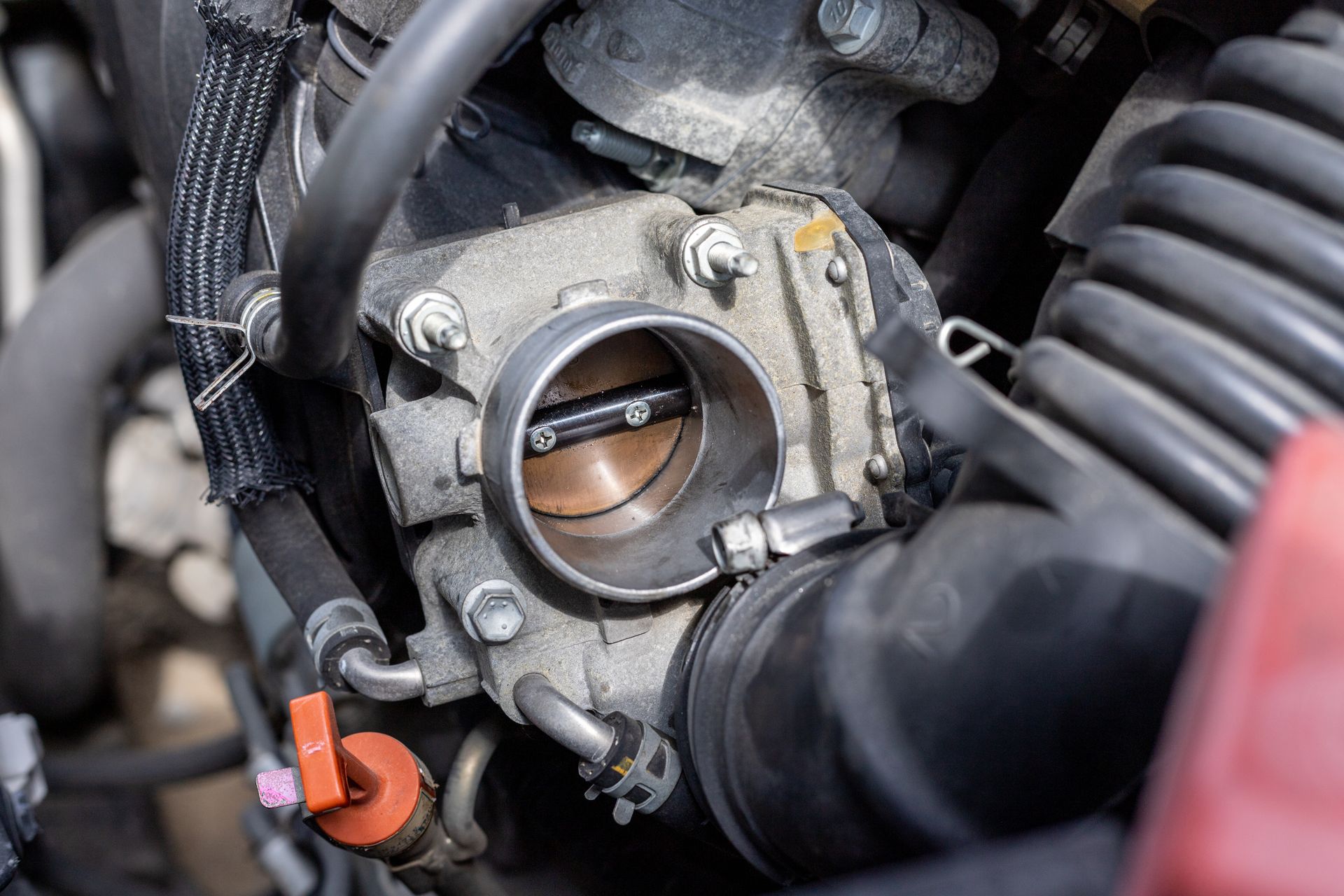 Intake Cleaning at Orcutt Automotive in Corpus Christi, TX