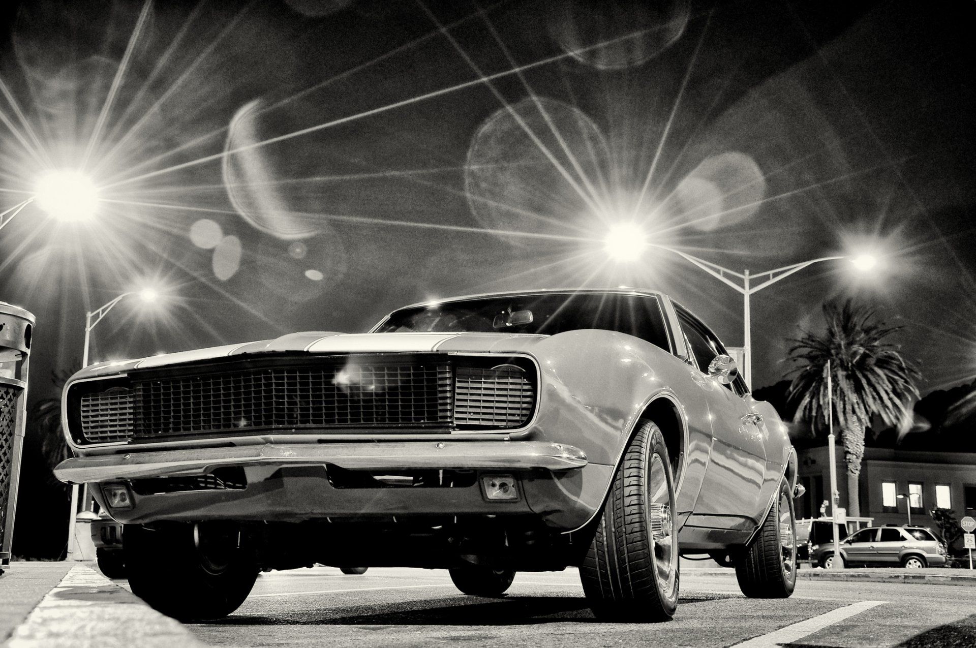 Mustang — Ann Arbor, MI — A2 Auto Image Mustang — Ann Arbor, MI — A2 Auto Image