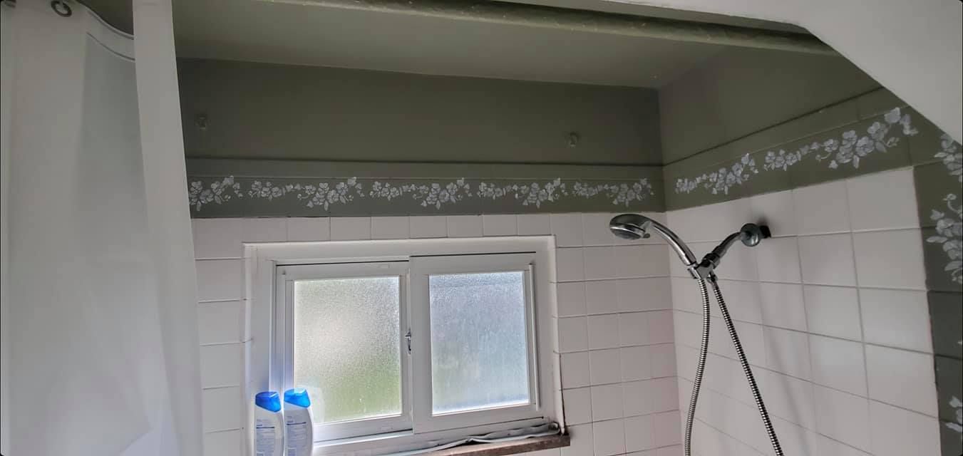 A bathroom with a shower and a window.