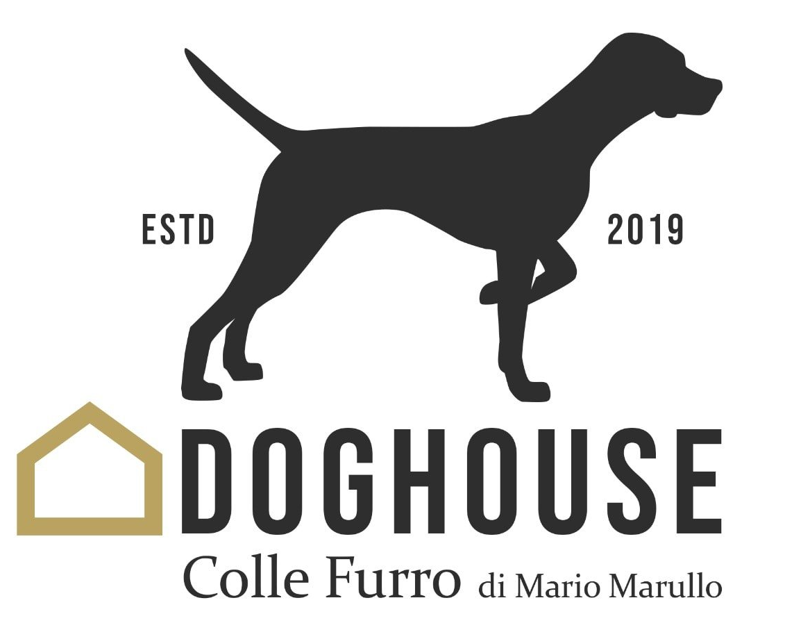 cuccioli di cane giocano sul prato