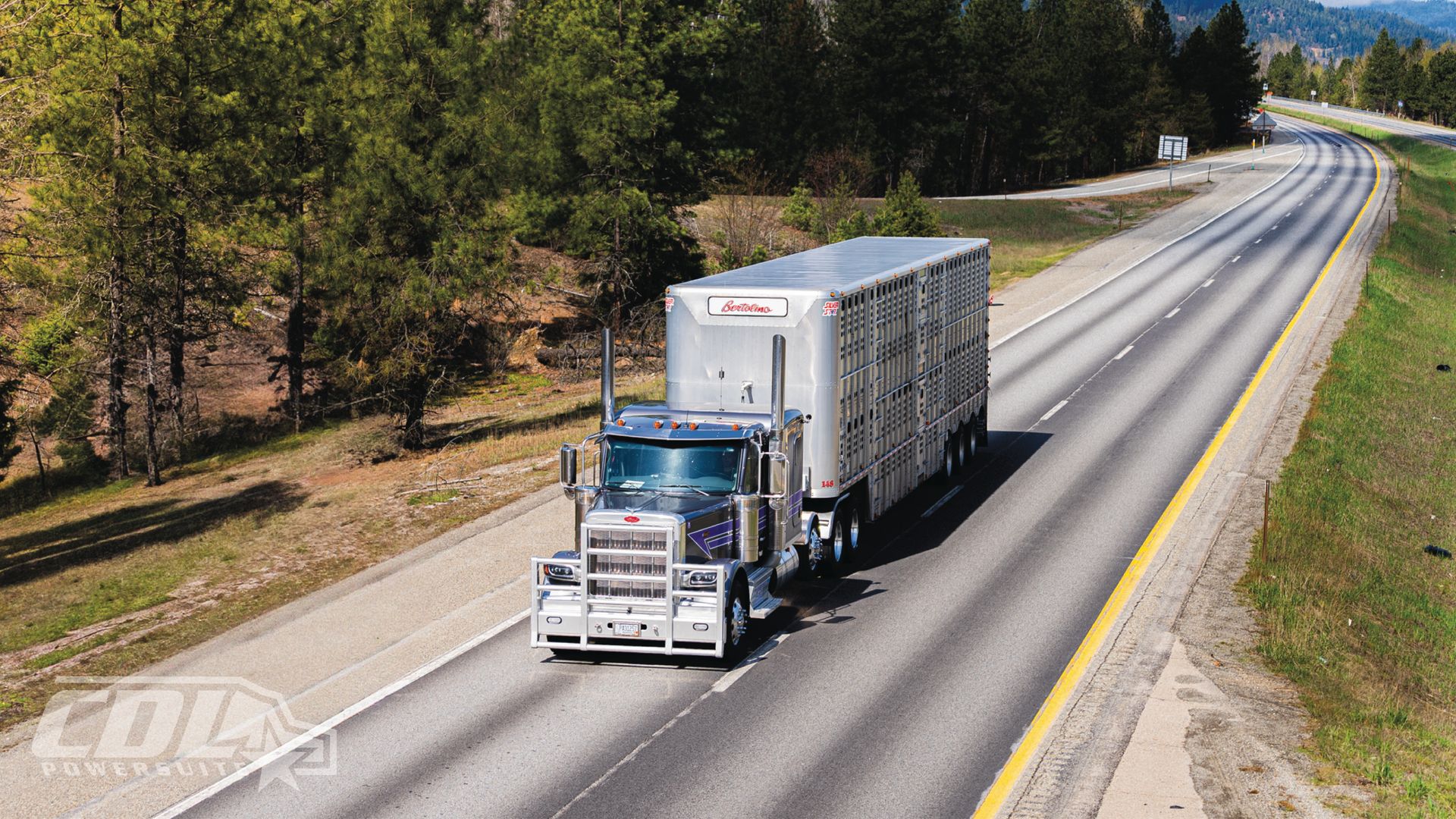 Livestock trailer semi