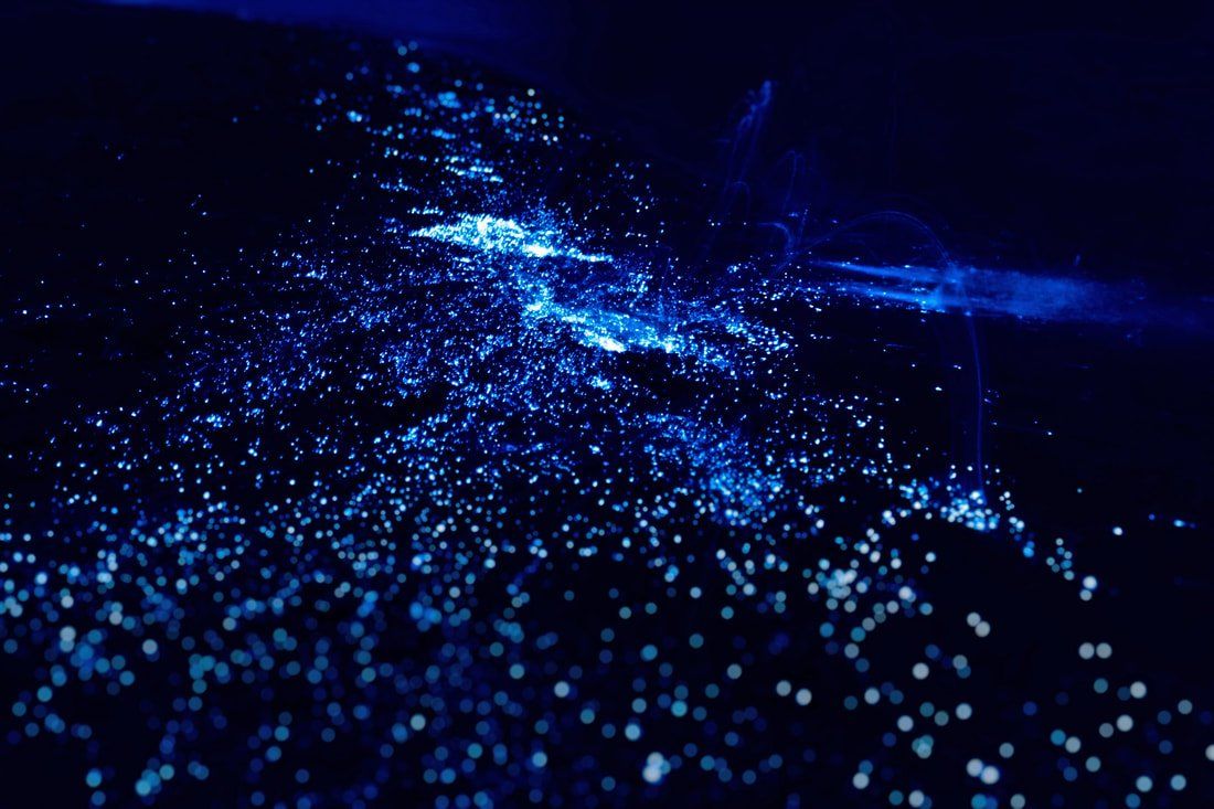 Destellos de luz natural en el mar, producto de la bioluminiscencia en las cercanías de Hotel Las Islas, Isla Barú