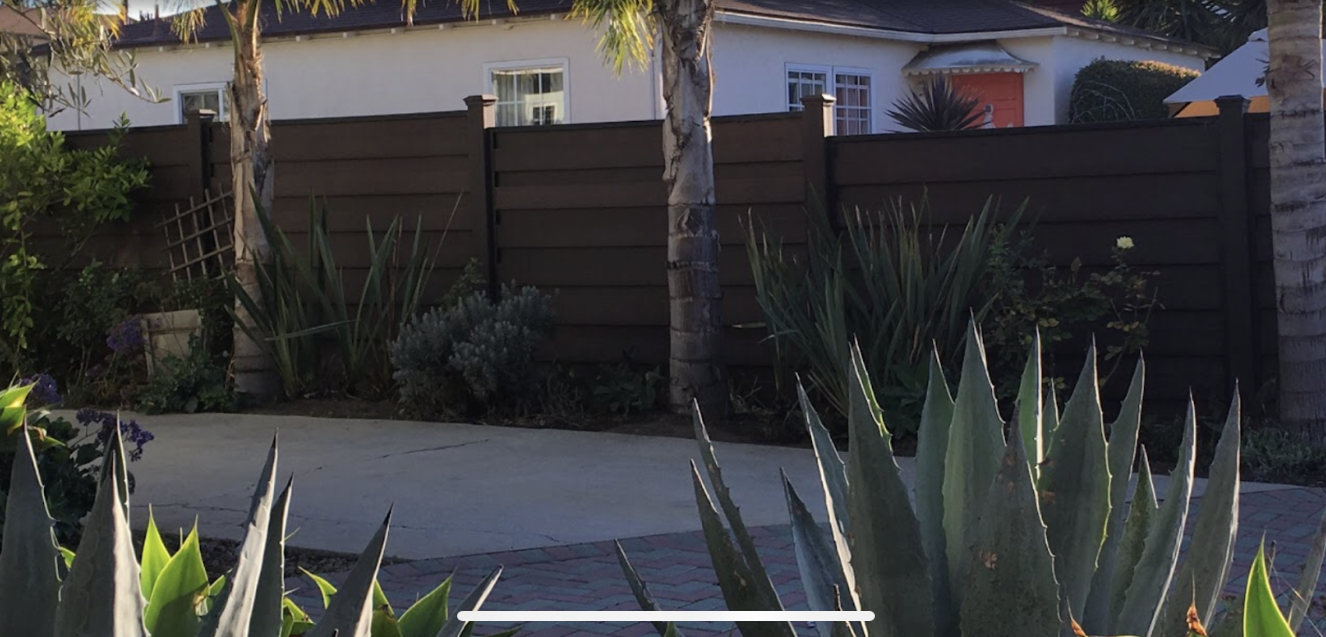 Brown fence and building behind agave plants, sunny outdoor scene.