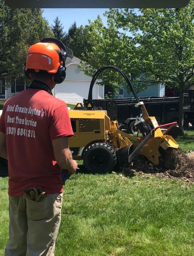 Man operating a yellow stump grinder on a lawn, wearing safety gear, trees and house in the background.