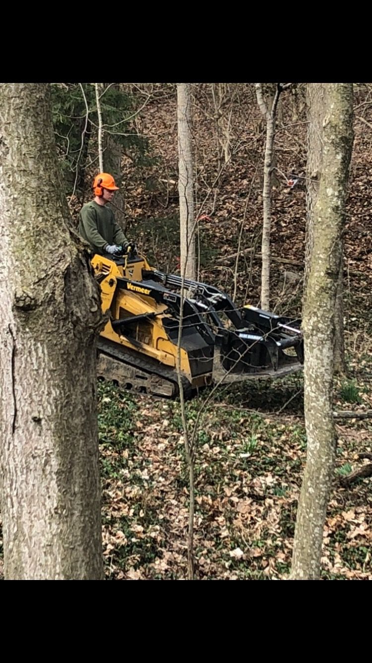 Man operating yellow track machine clearing brush in a forest.