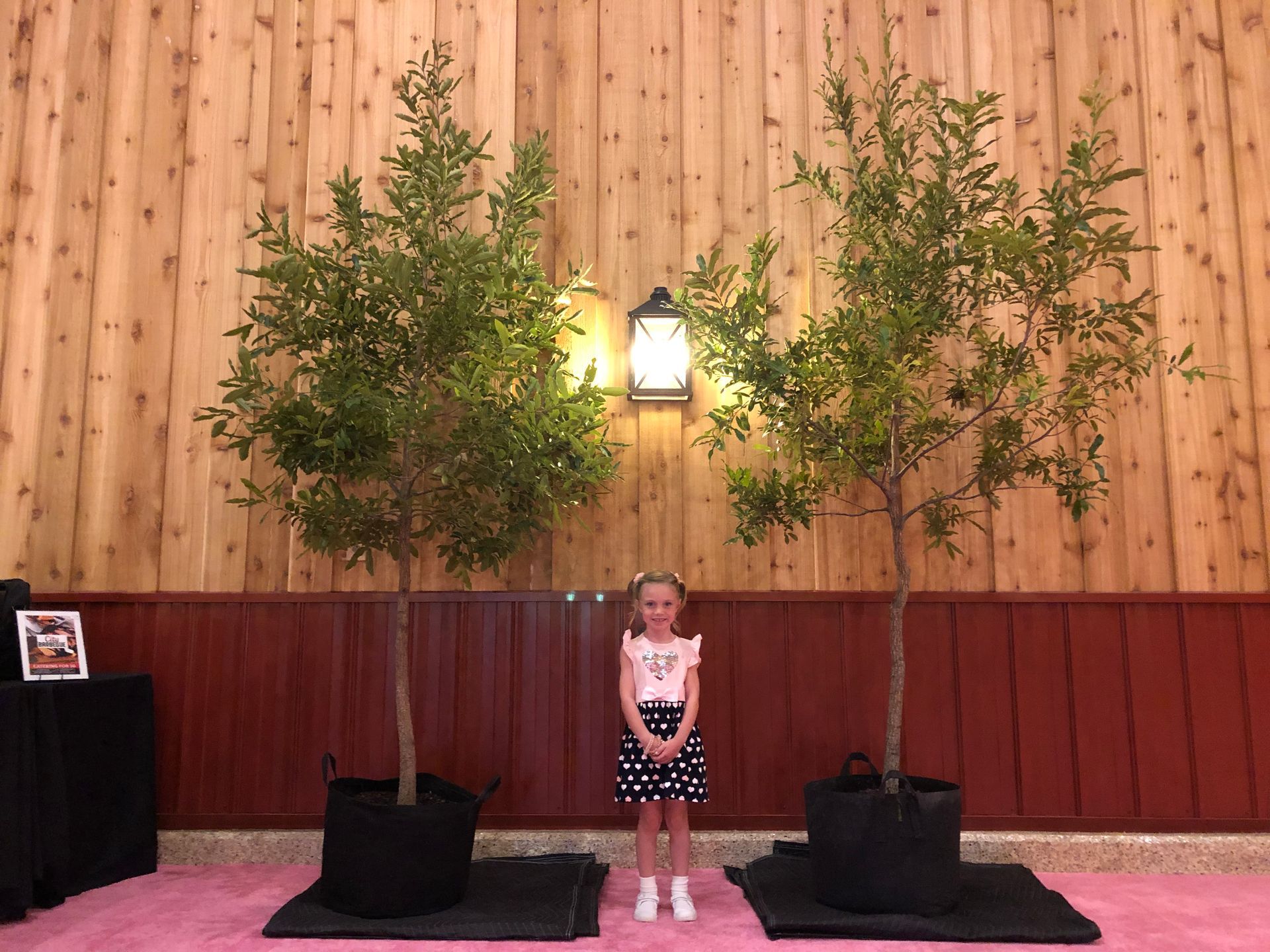 A Girl & Plants โ Dayton, OH โ AAA Tree and Landscaping