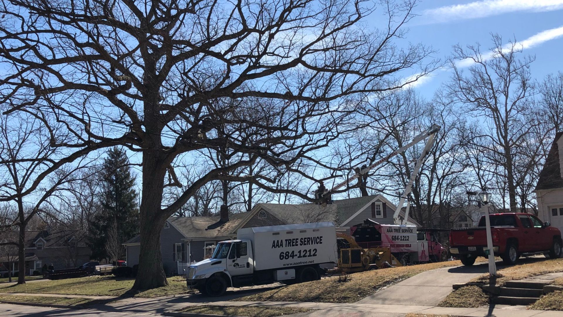 White truck and equipment near a house with tree trimming in progress on a sunny day.