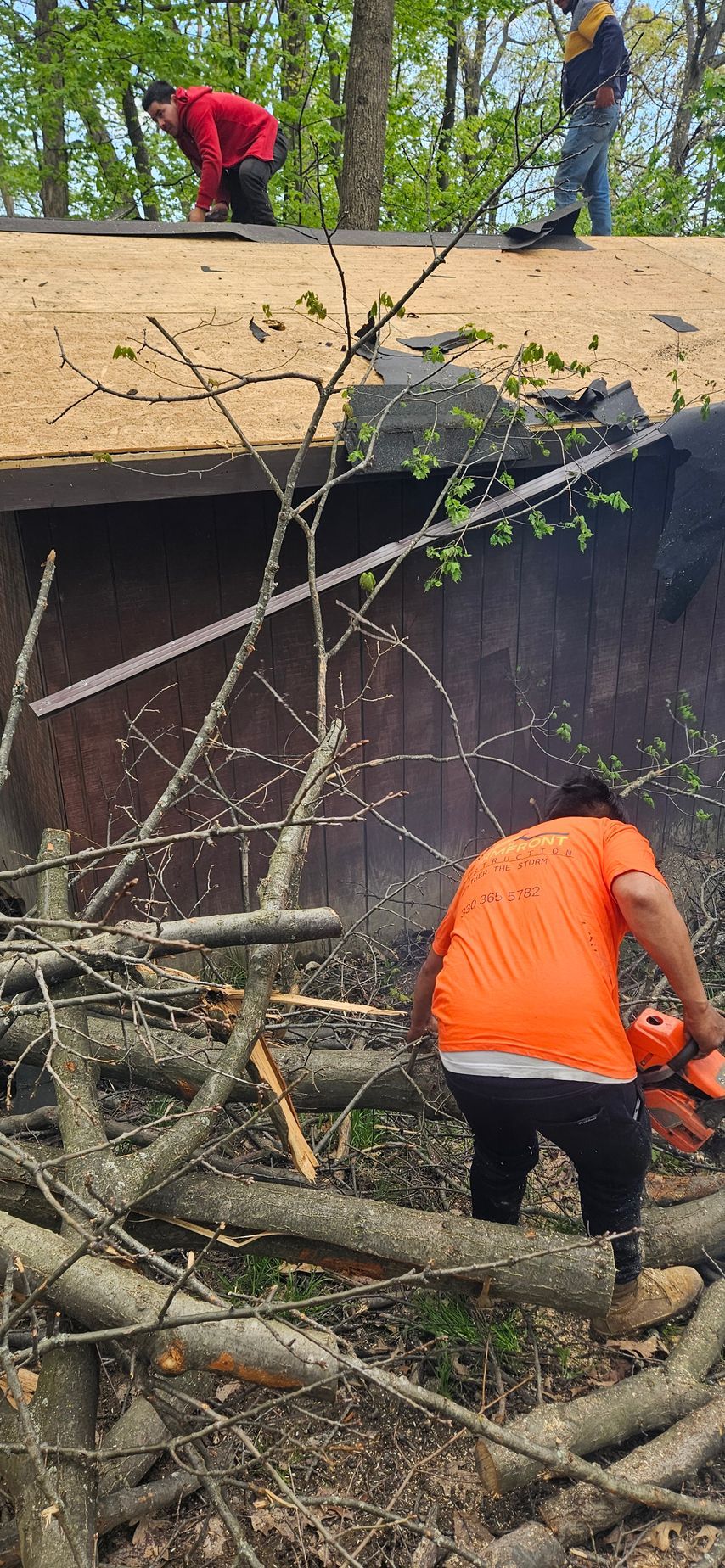 Workers clearing fallen tree branches from a rooftop near the edge of a building.