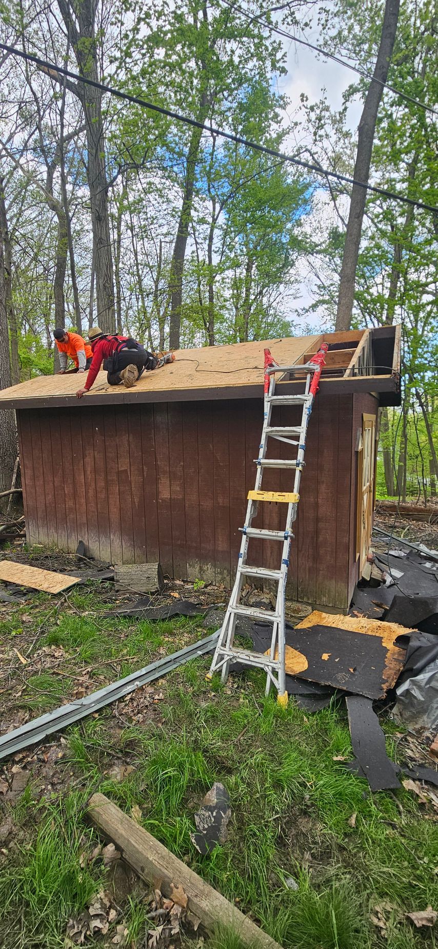 Workers repairing a shed roof with ladders and tools in a wooded yard