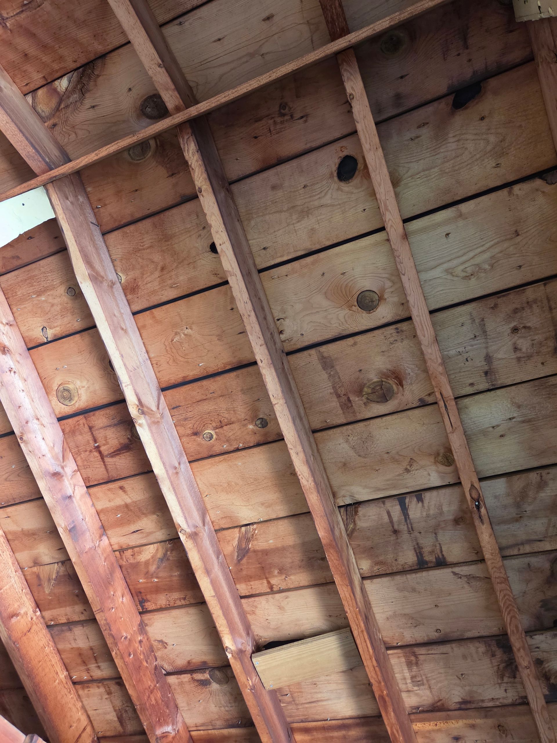 Underside of a wooden roof with exposed beams and plywood panels