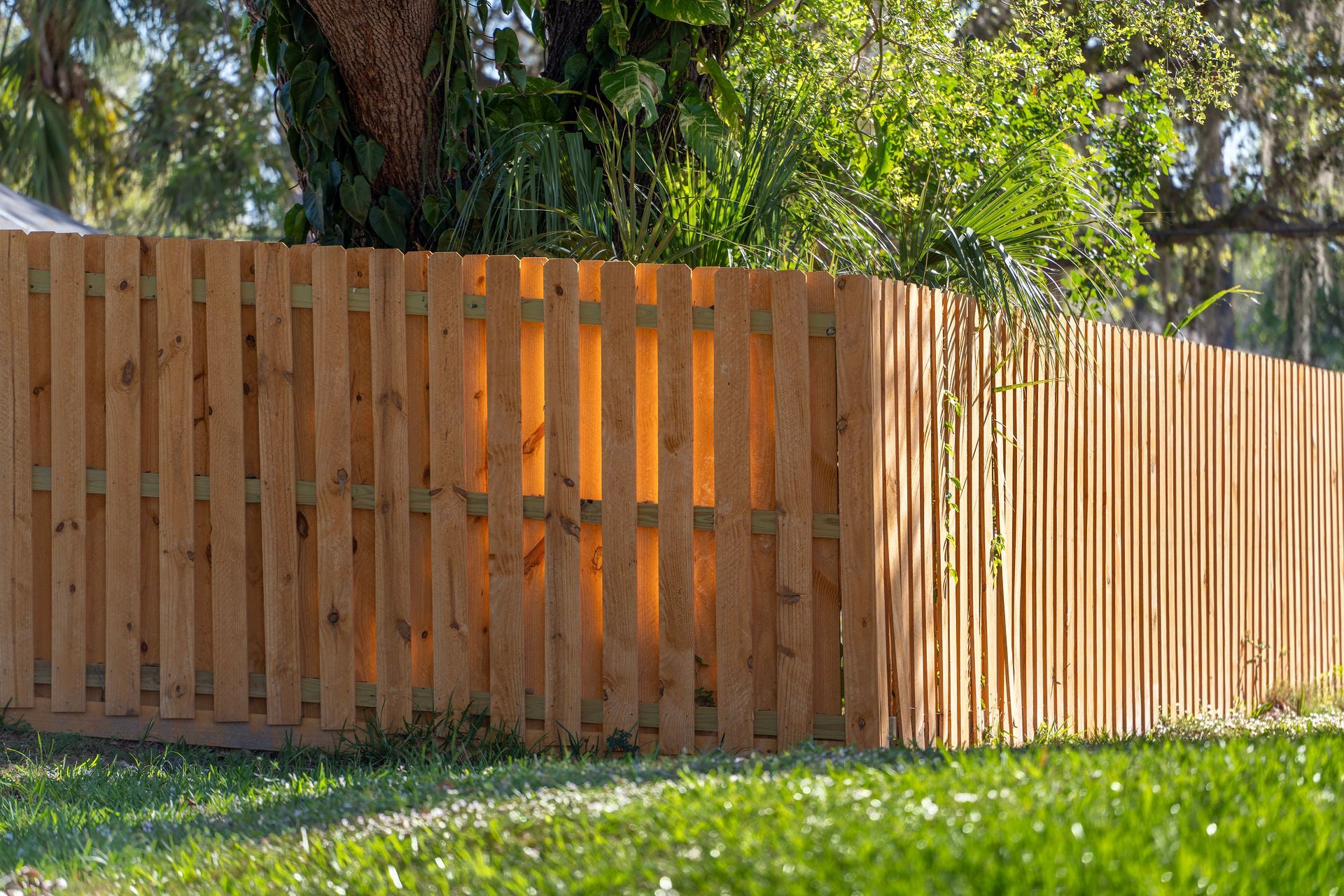 Curved wooden privacy fence in a grassy yard with trees behind it. Curved wooden privacy fence in a grassy yard with trees behind it.