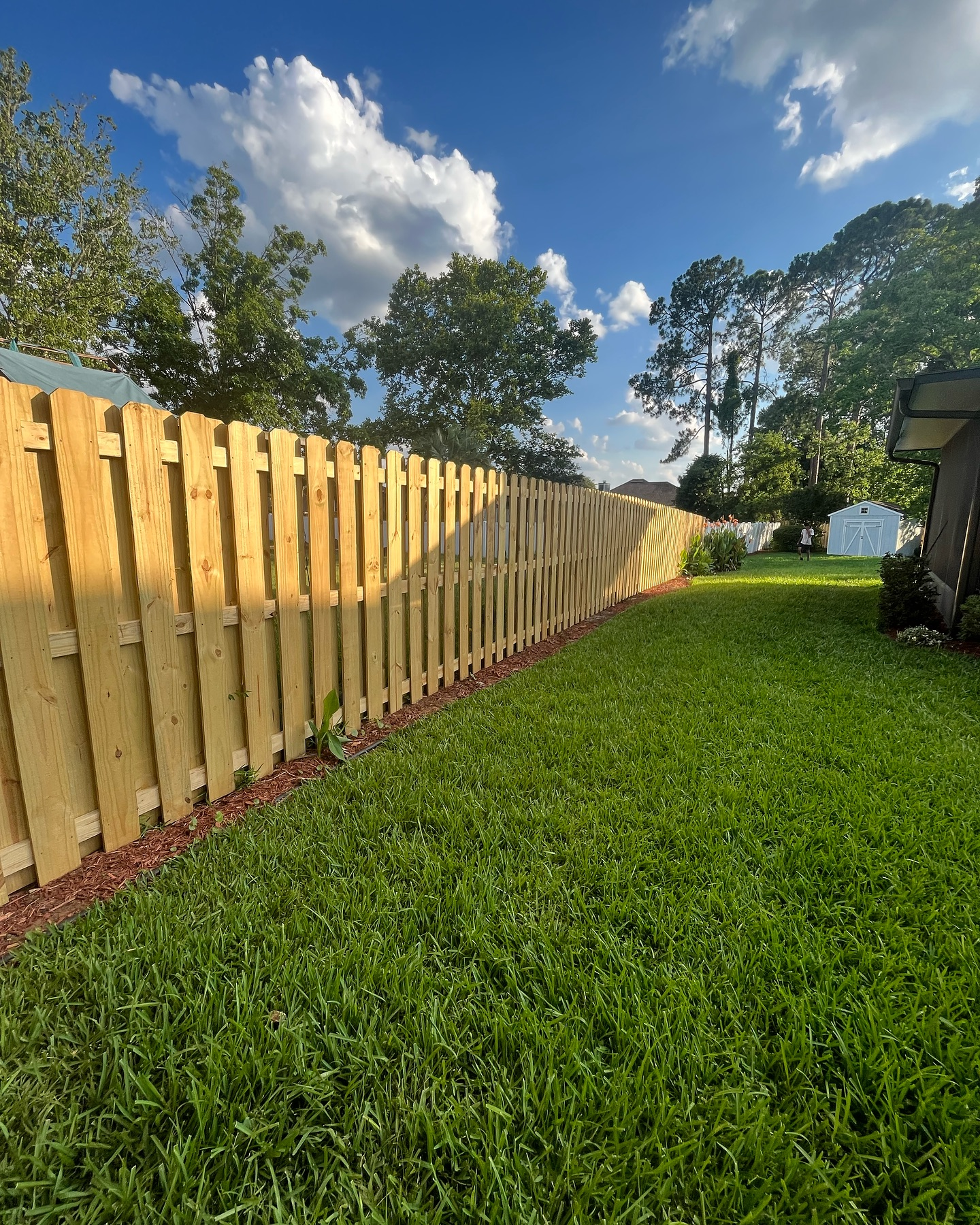 Sunlit backyard with a wooden fence, green lawn, trees, and blue sky with clouds. Sunlit backyard with a wooden fence, green lawn, trees, and blue sky with clouds.