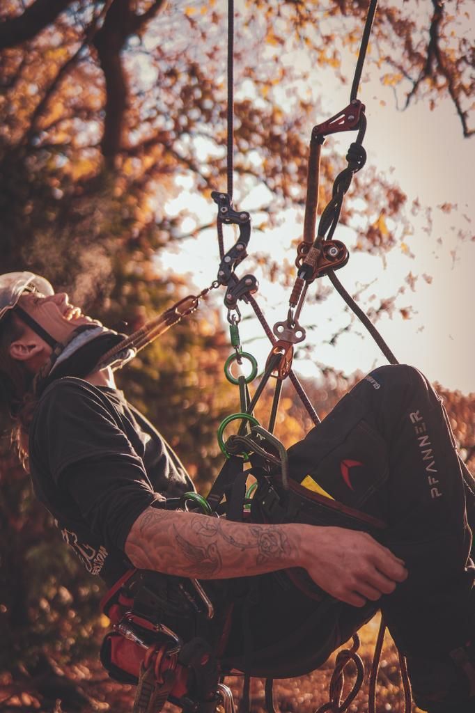 Arborist suspended in harness, looking up at ropes and equipment. Autumn leaves in background.