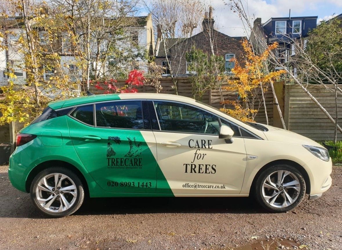 The Treecare Car