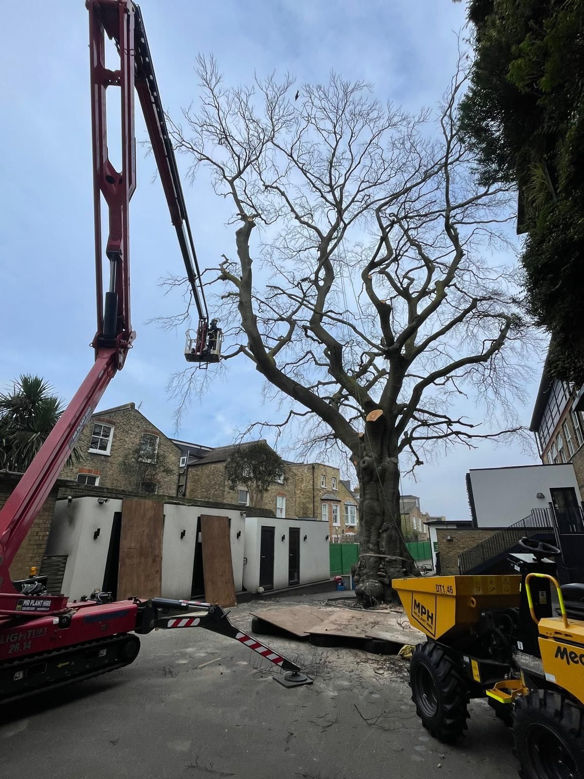 Construction site with a crane lifting near a large tree and buildings under renovation