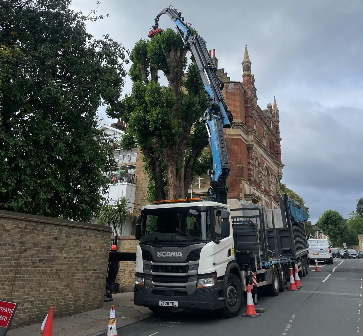 Click for more info on this project Lombardy Poplar Removal London SE4