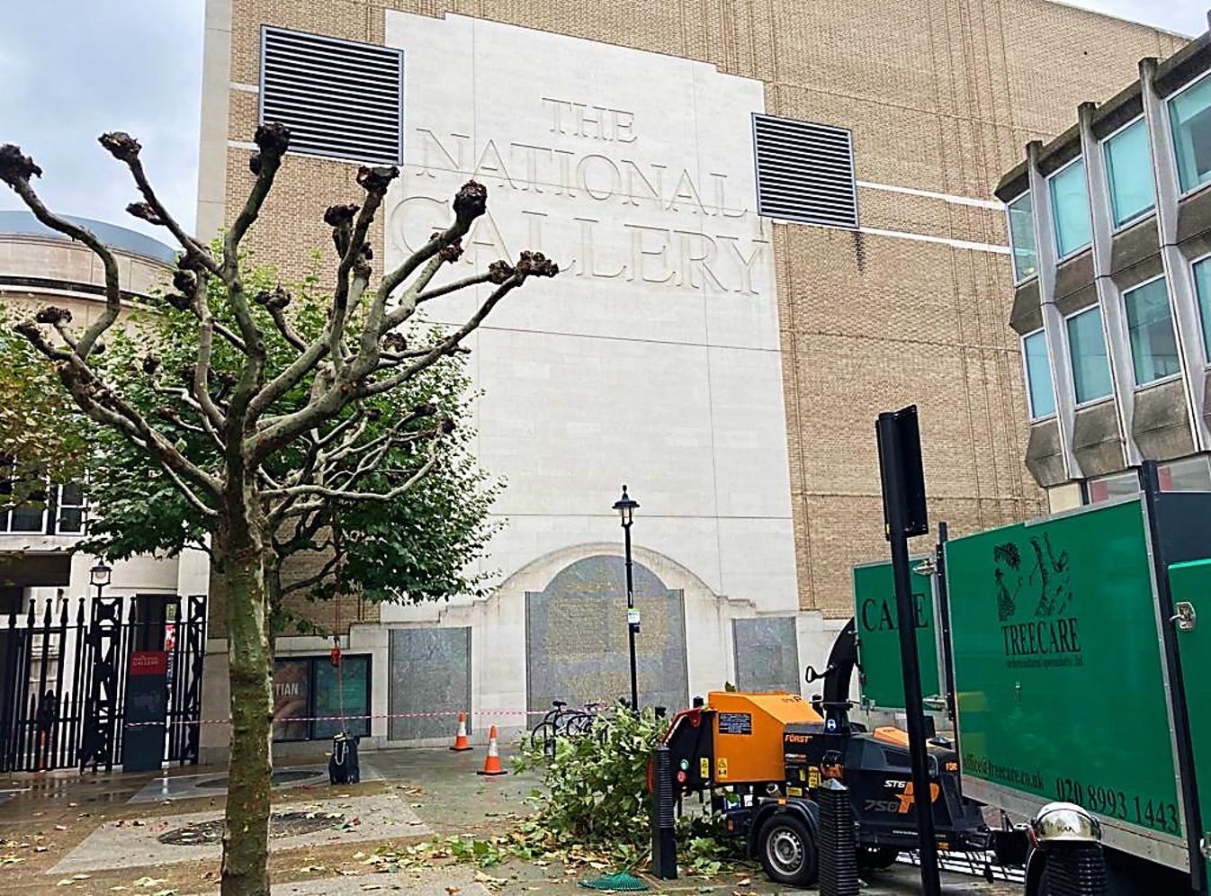 Crown reduction and shaping of trees around the National Gallery in Central London
