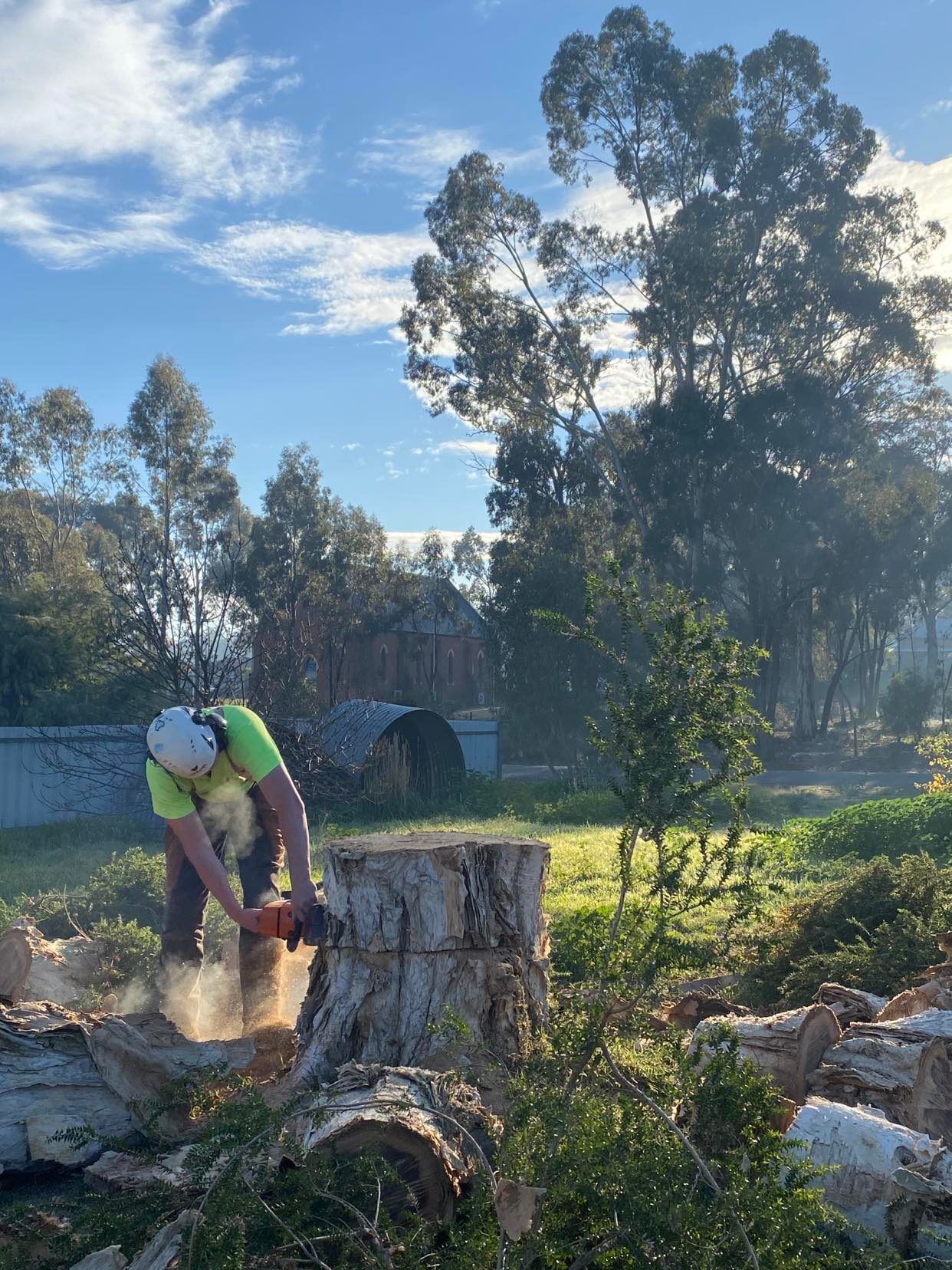 Tree Stump Removal — Whiteheads Creek, VIC — Harry's Cut'N Chip Tree Services Tree Stump Removal — Whiteheads Creek, VIC — Harry's Cut'N Chip Tree Services
