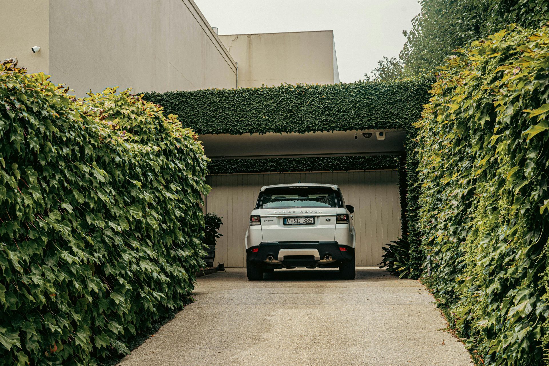 White SUV parked under a vine-covered carport at the end of a driveway