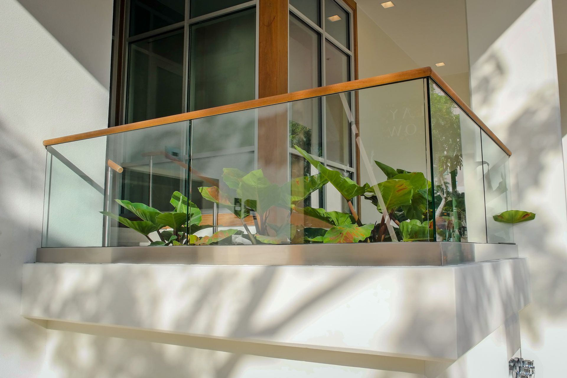 Glass-enclosed balcony garden with leafy green plants on a white building façade