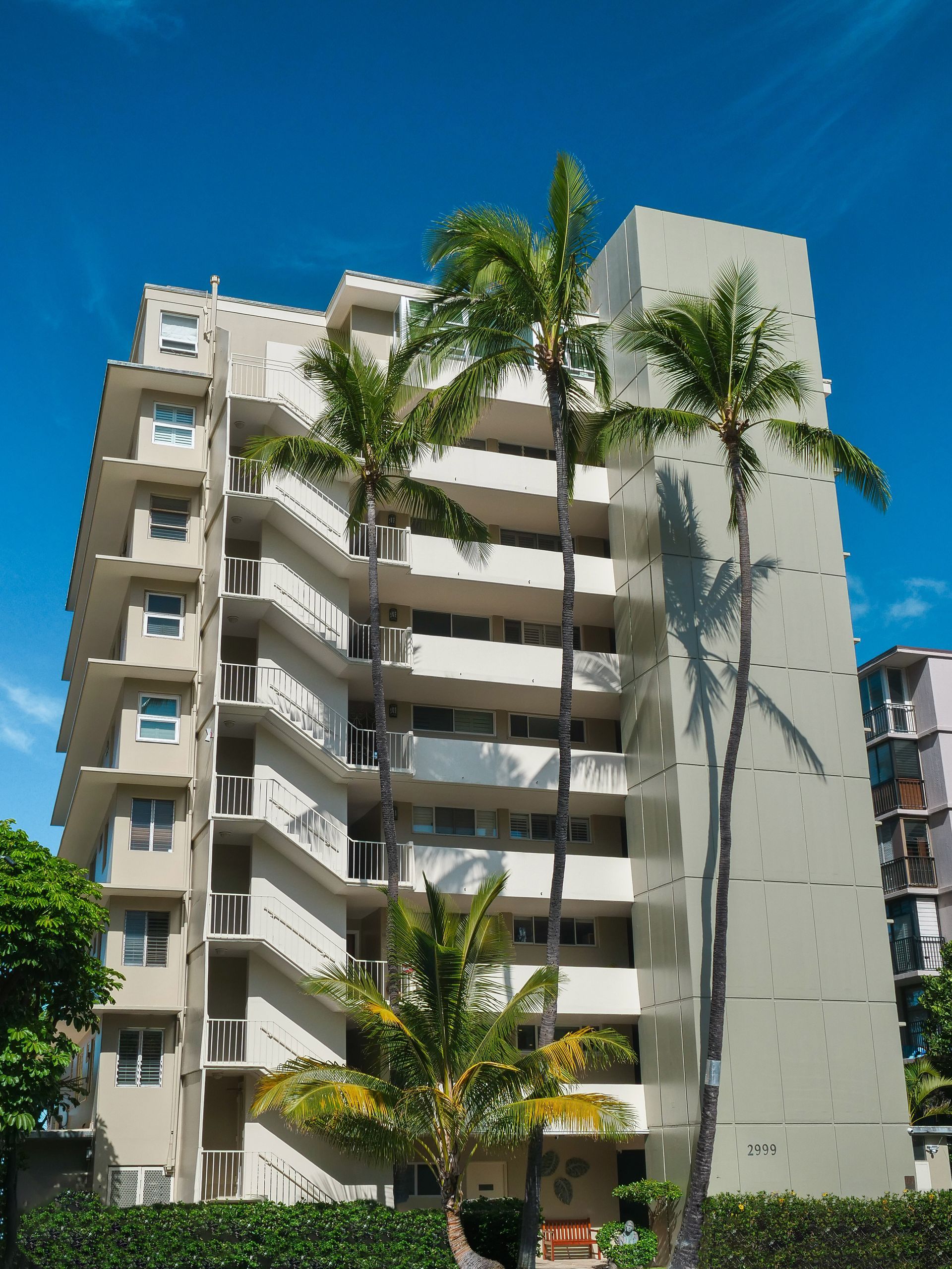 A tall building with palm trees in front of it
