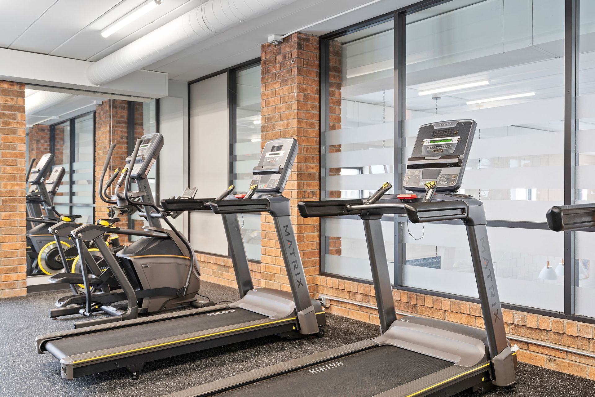 A row of treadmills and ellipticals in a gym.