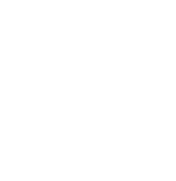 Paw icon