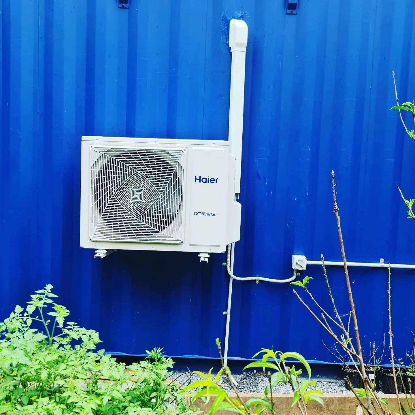 White Haier outdoor AC unit mounted on a blue corrugated metal wall with plants below