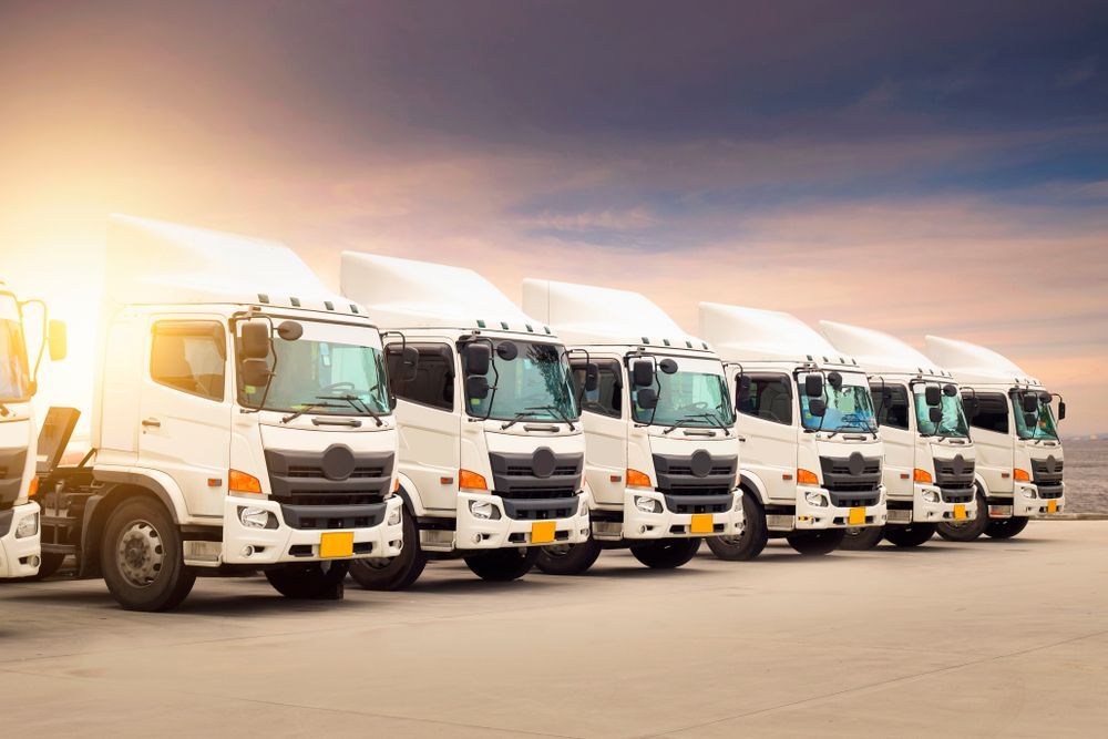 A Row Of White Trucks Are Parked In A Parking Lot — ABC Driving School Central Coast In Umina Beach, NSW