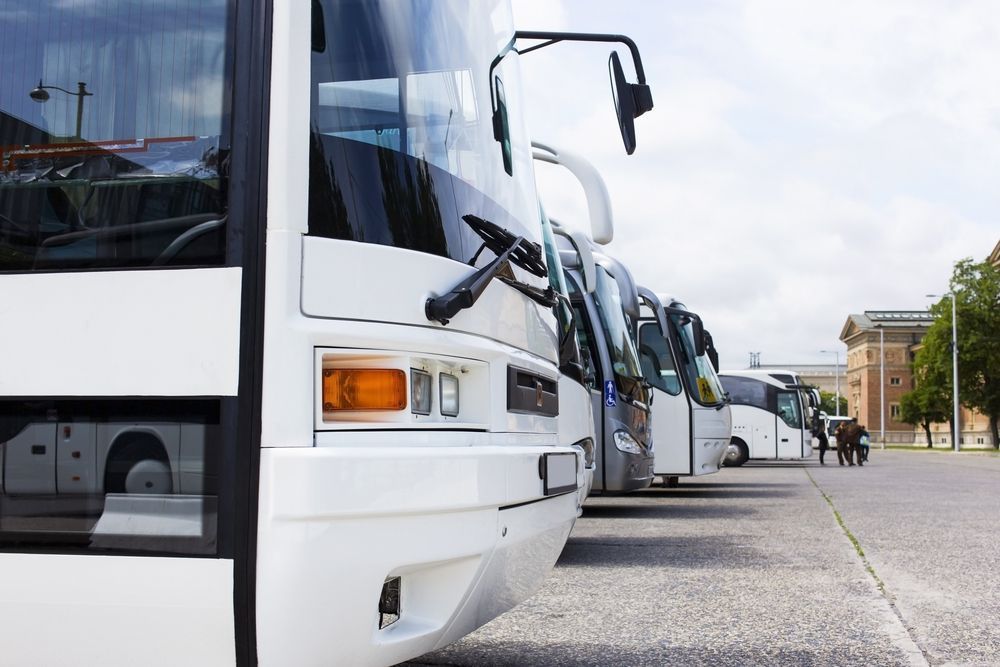 A Row Of White Buses Are Parked In A Parking Lot — ABC Driving School Central Coast In Umina Beach, NSW