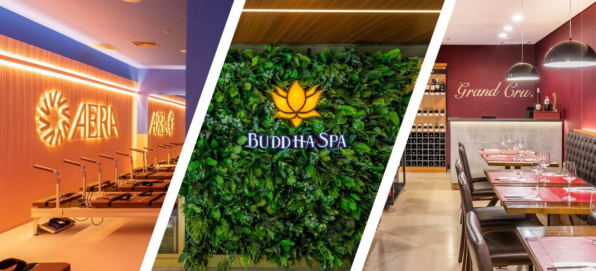 Expansion Partnerships and Franchise Attraction