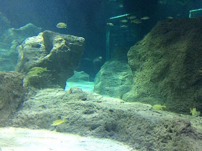 ROCAS ARTIFICIALES