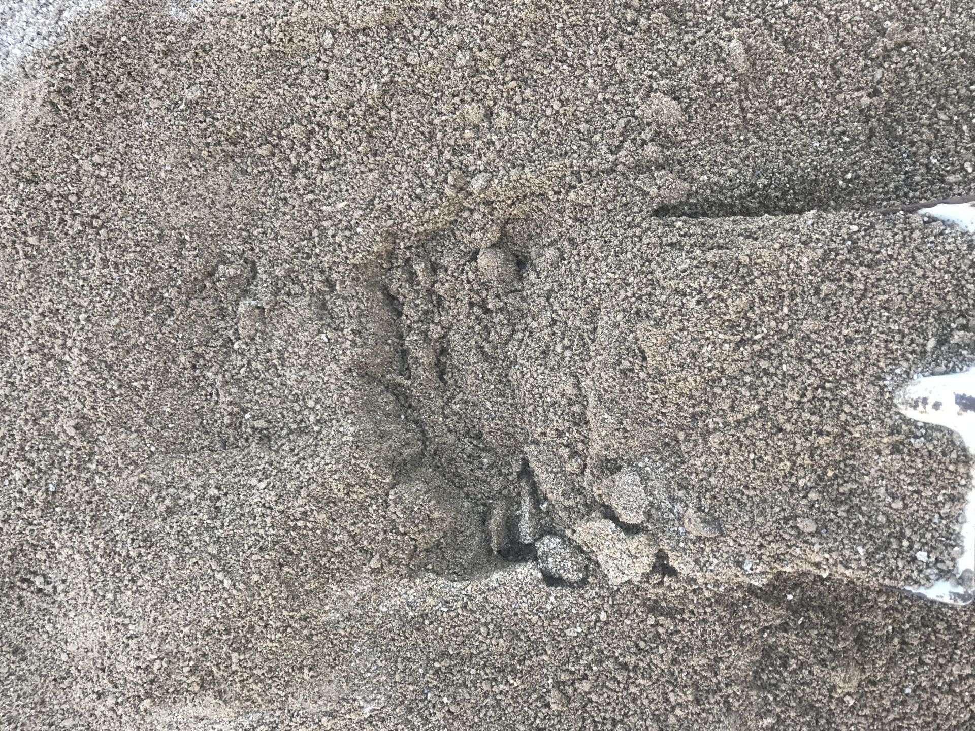 Handprint Pressed Into Granite — Chooks Sand And Gravel In Paget, QLD