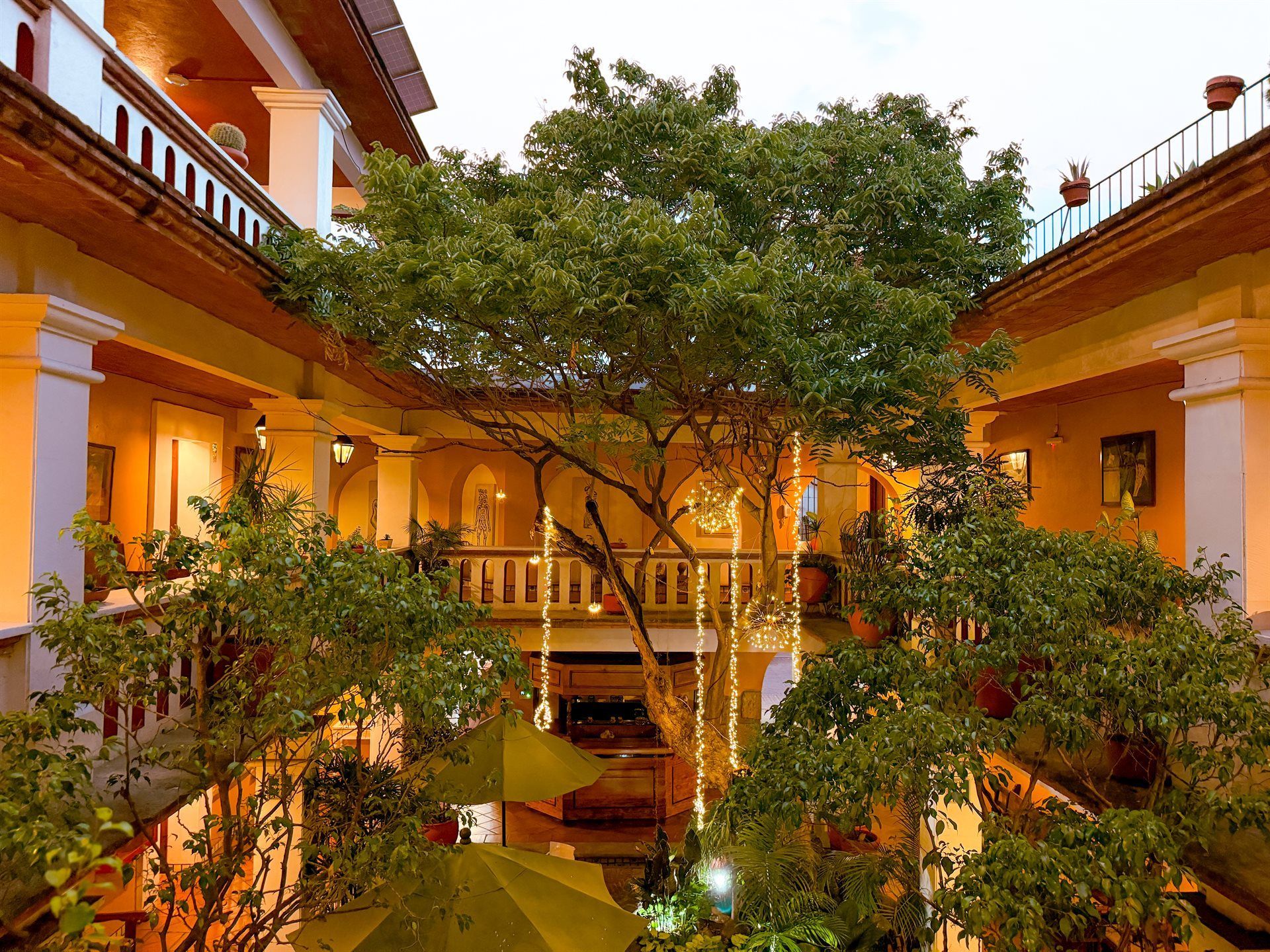 Un edificio con un árbol en el medio
