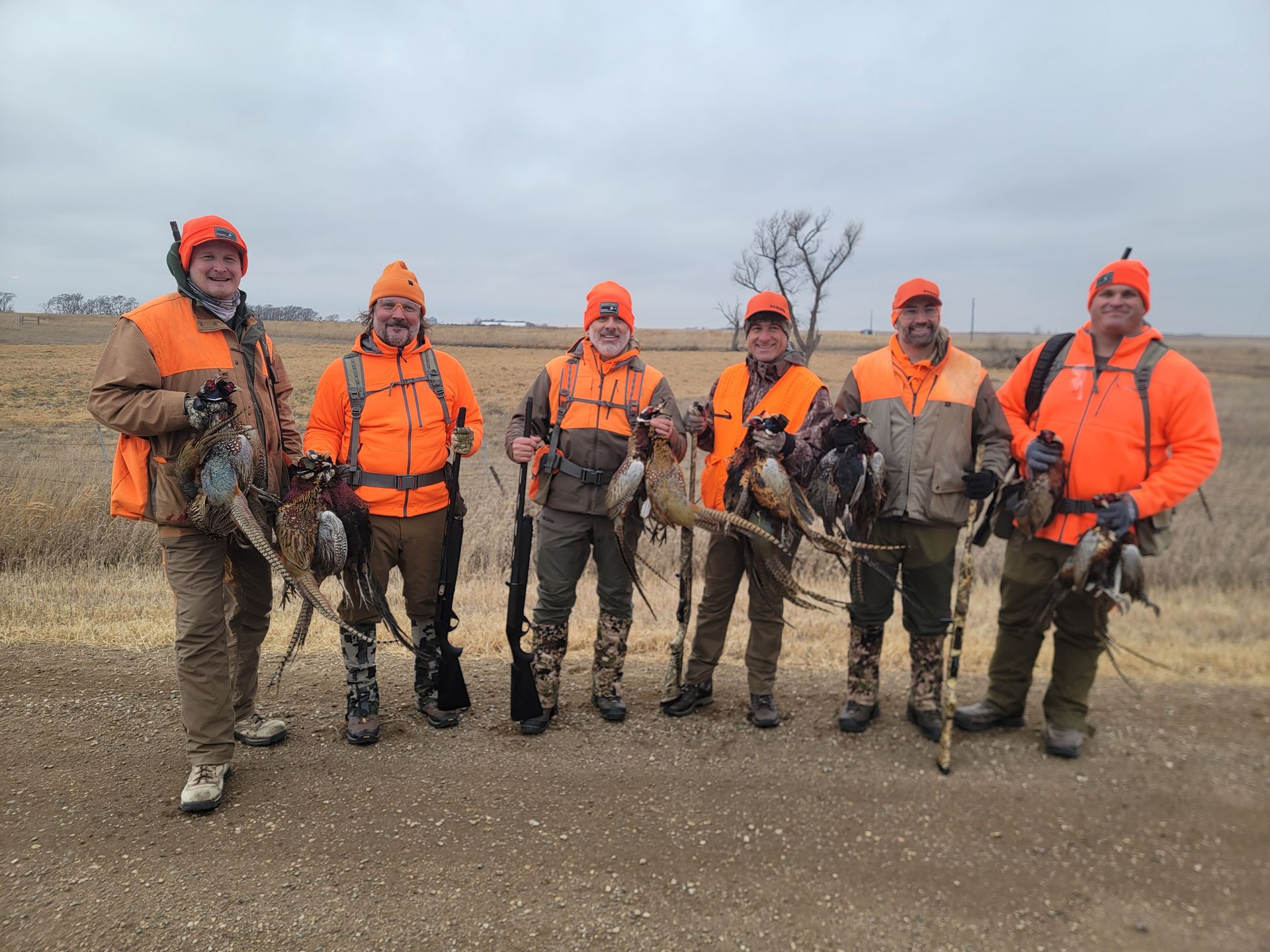 hunting pheasants in South Dakota with a guide