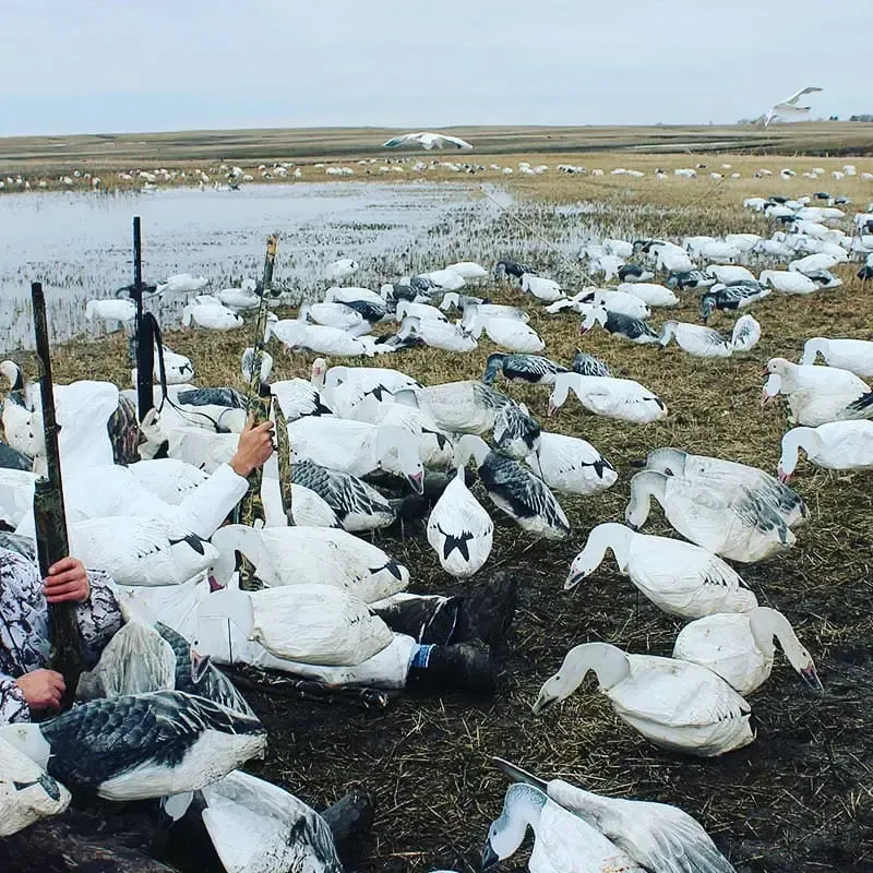 best lodging for hunting SD