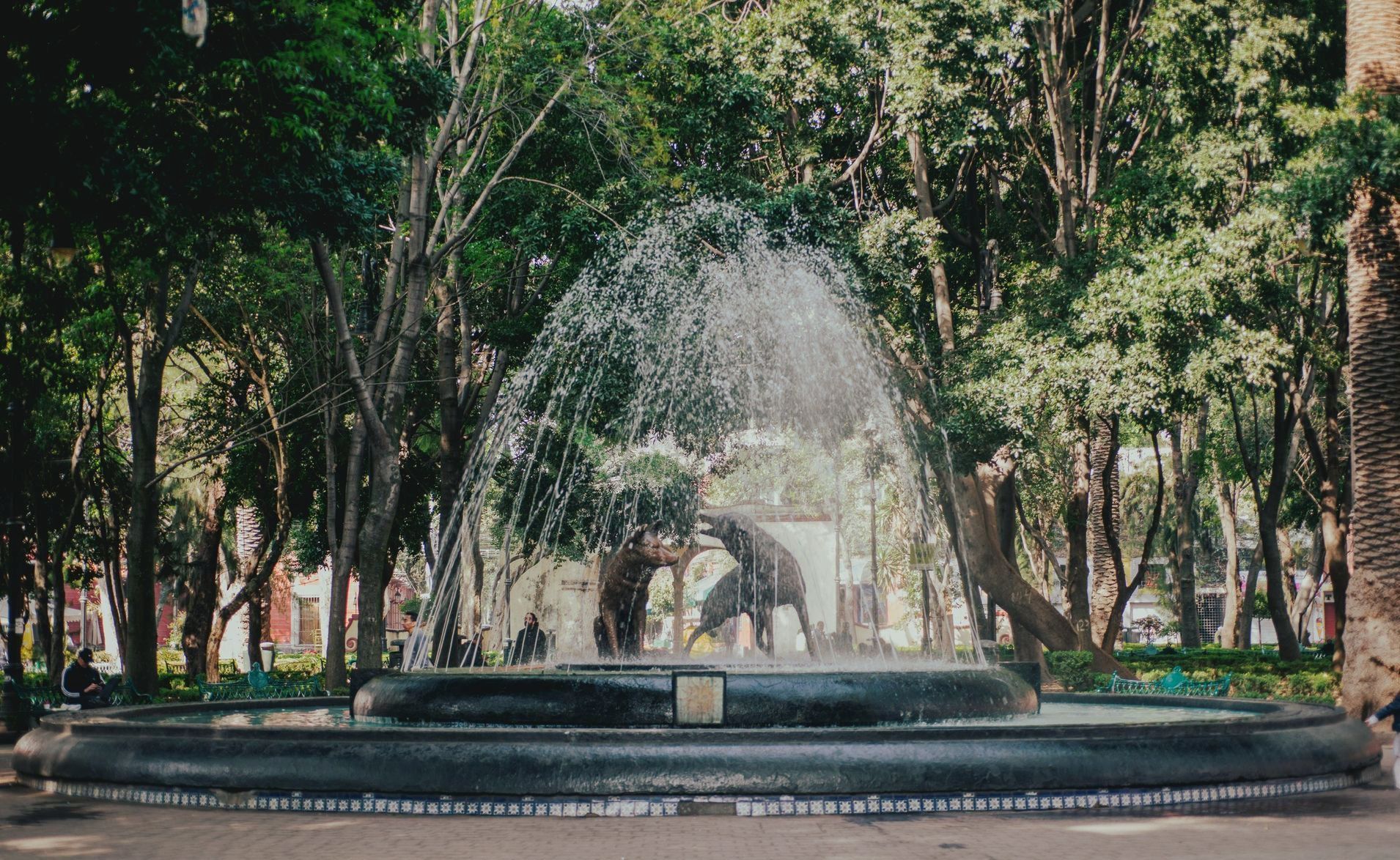 Una fuente en un parque arroja agua; hay árboles y edificios a su alrededor.