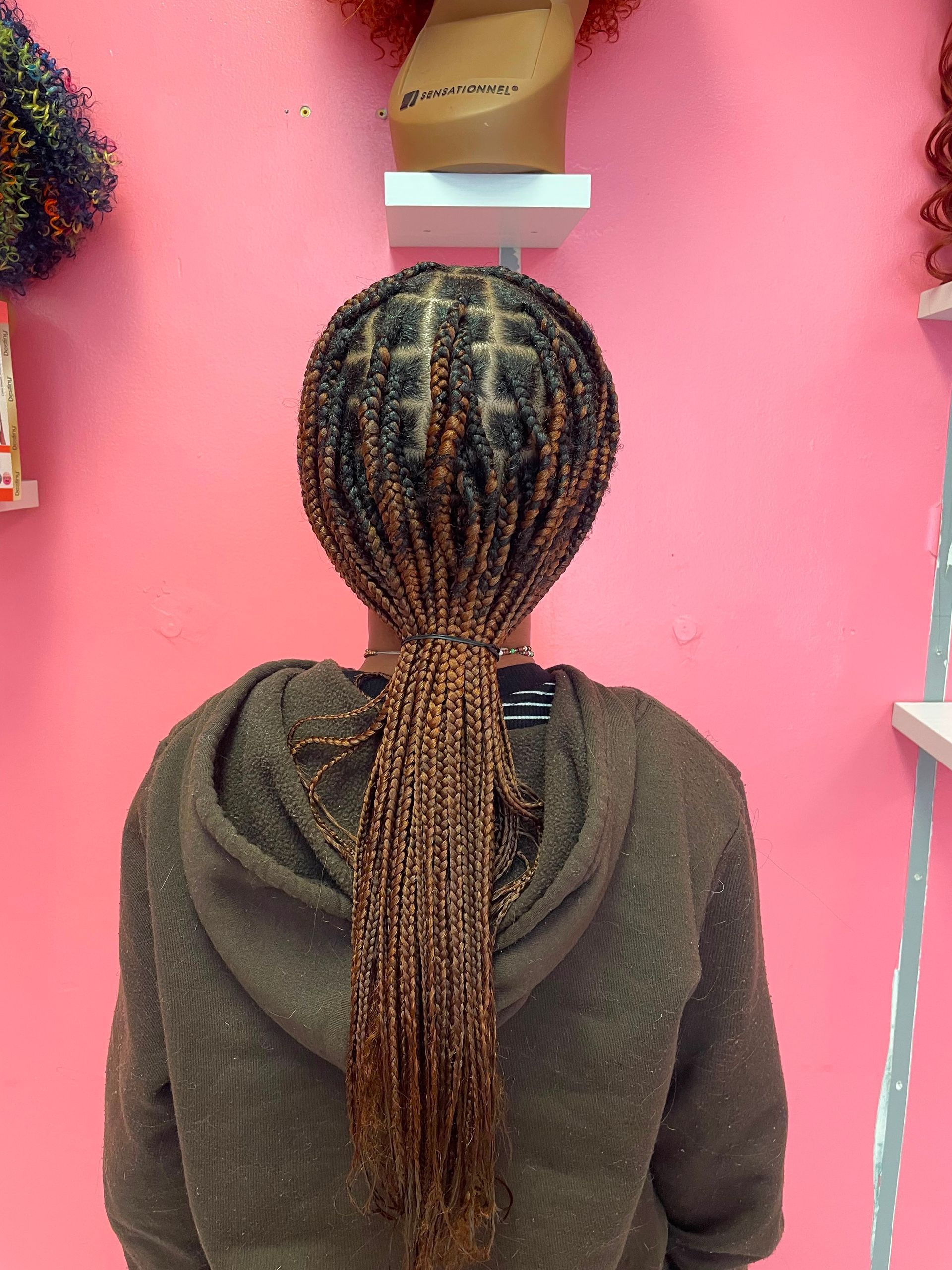 Braided hairstyle viewed from behind against a pink wall, with brown ombré braids and a dark hoodie