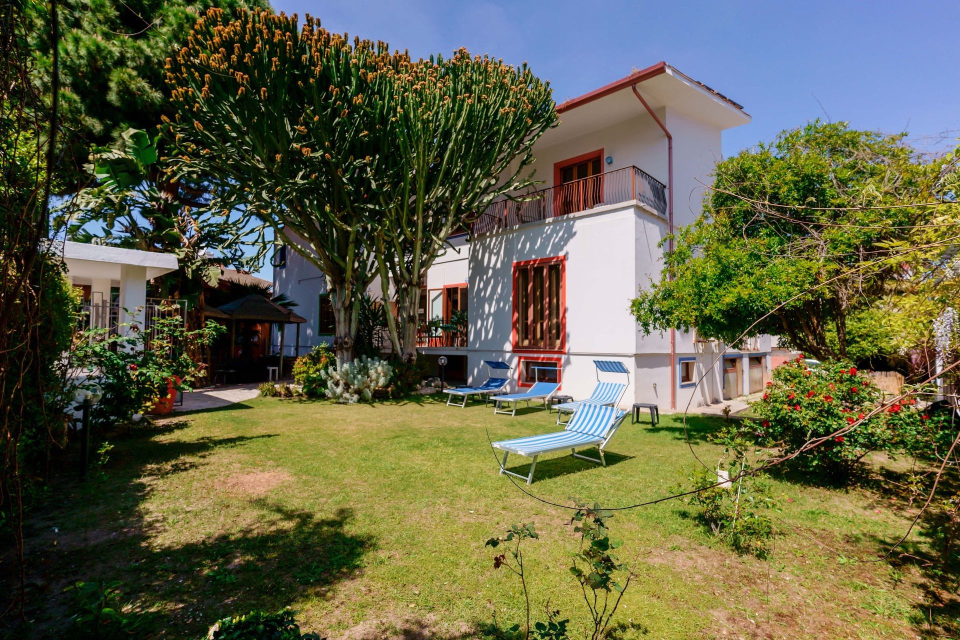 garden
