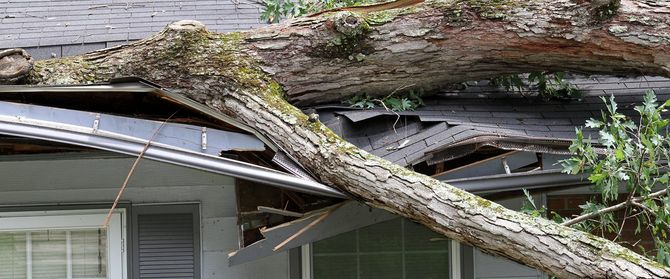 Emergency Roof Repair - Phoenix Storm Restoration A large tree trunk on a roof, causing damage. The roof is partially collapsed.