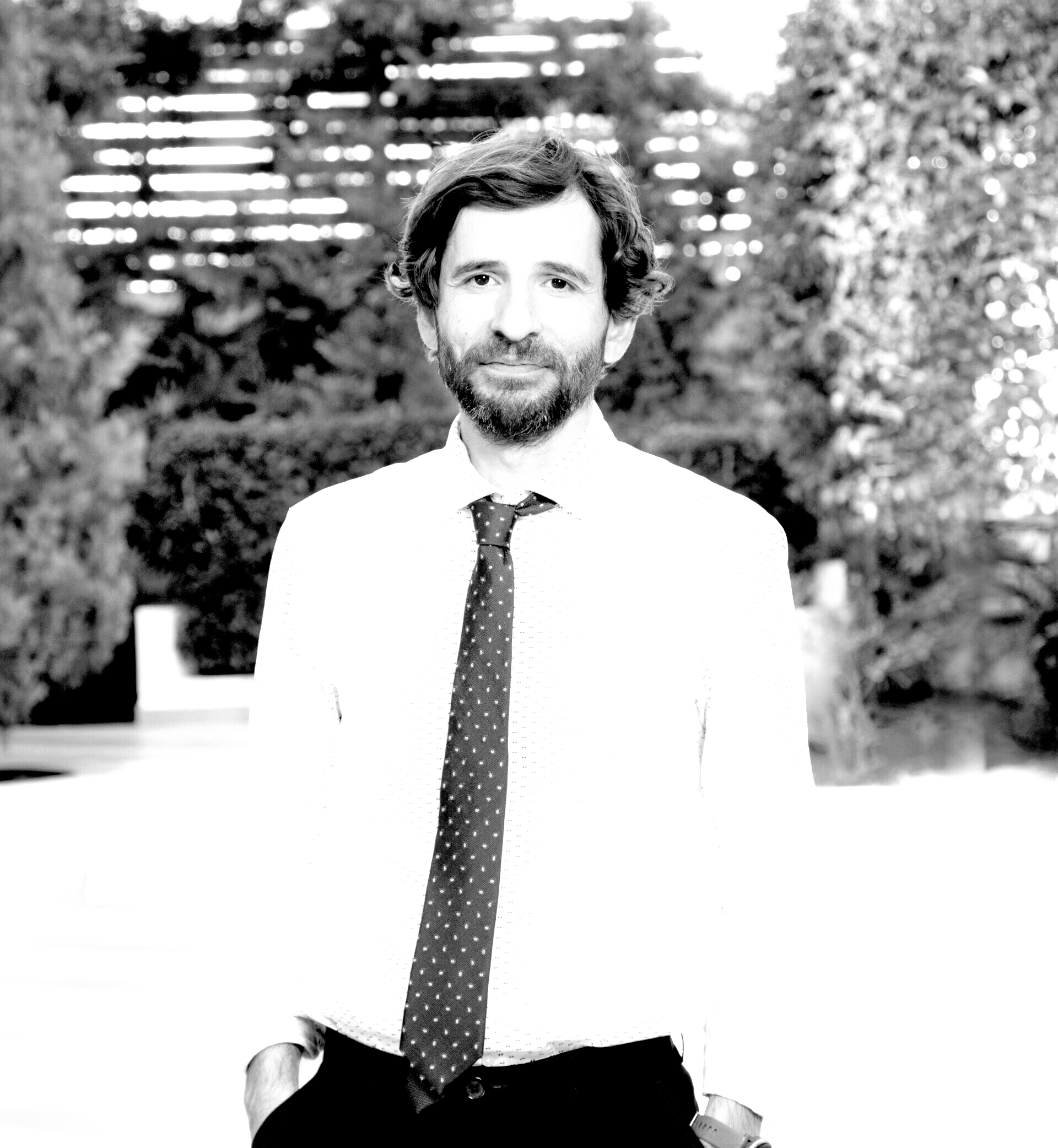 Dimitris Dimitriou - HPI Procurement Awards Committee