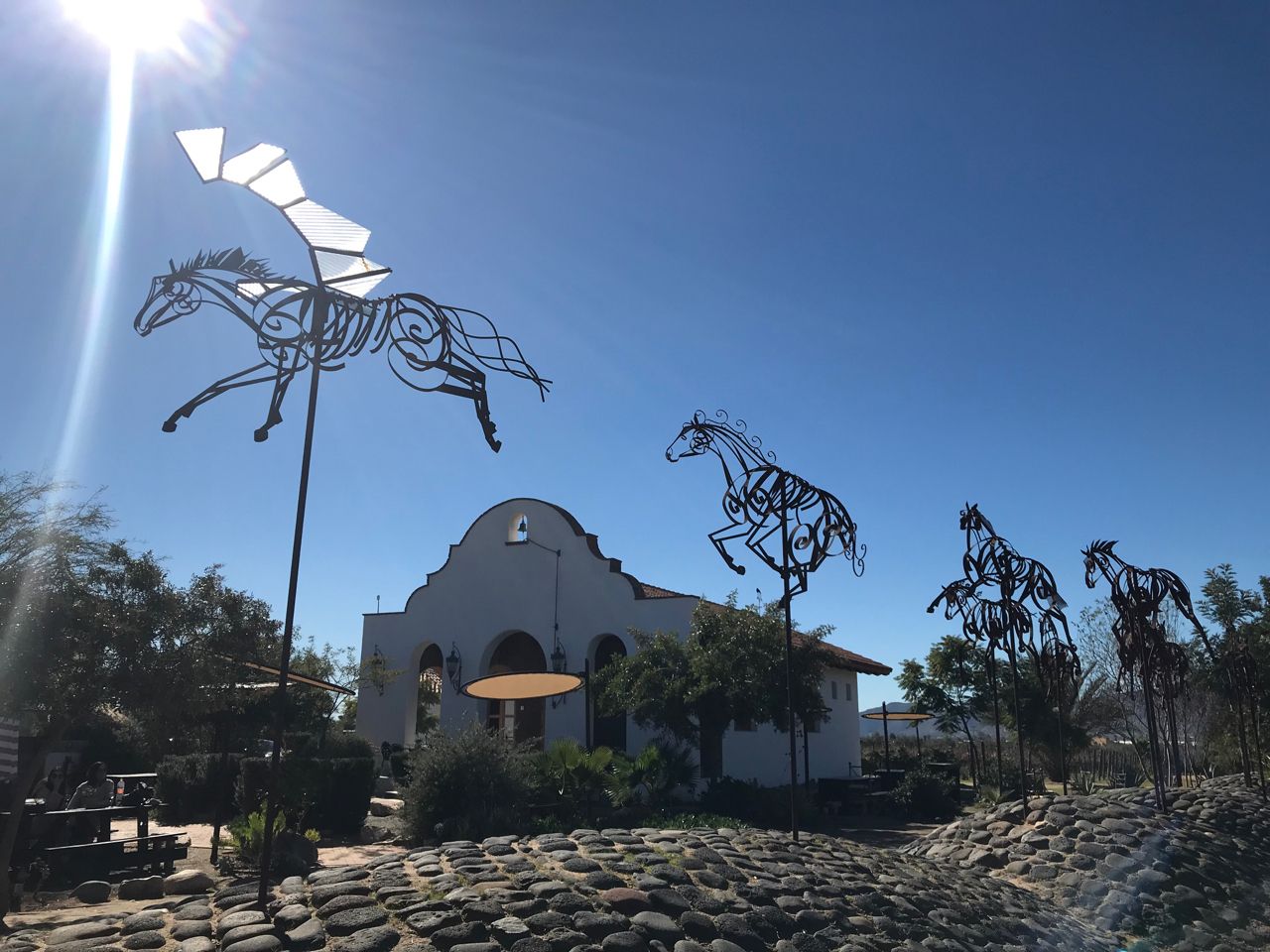 Adobe Guadalupe Mexico winery