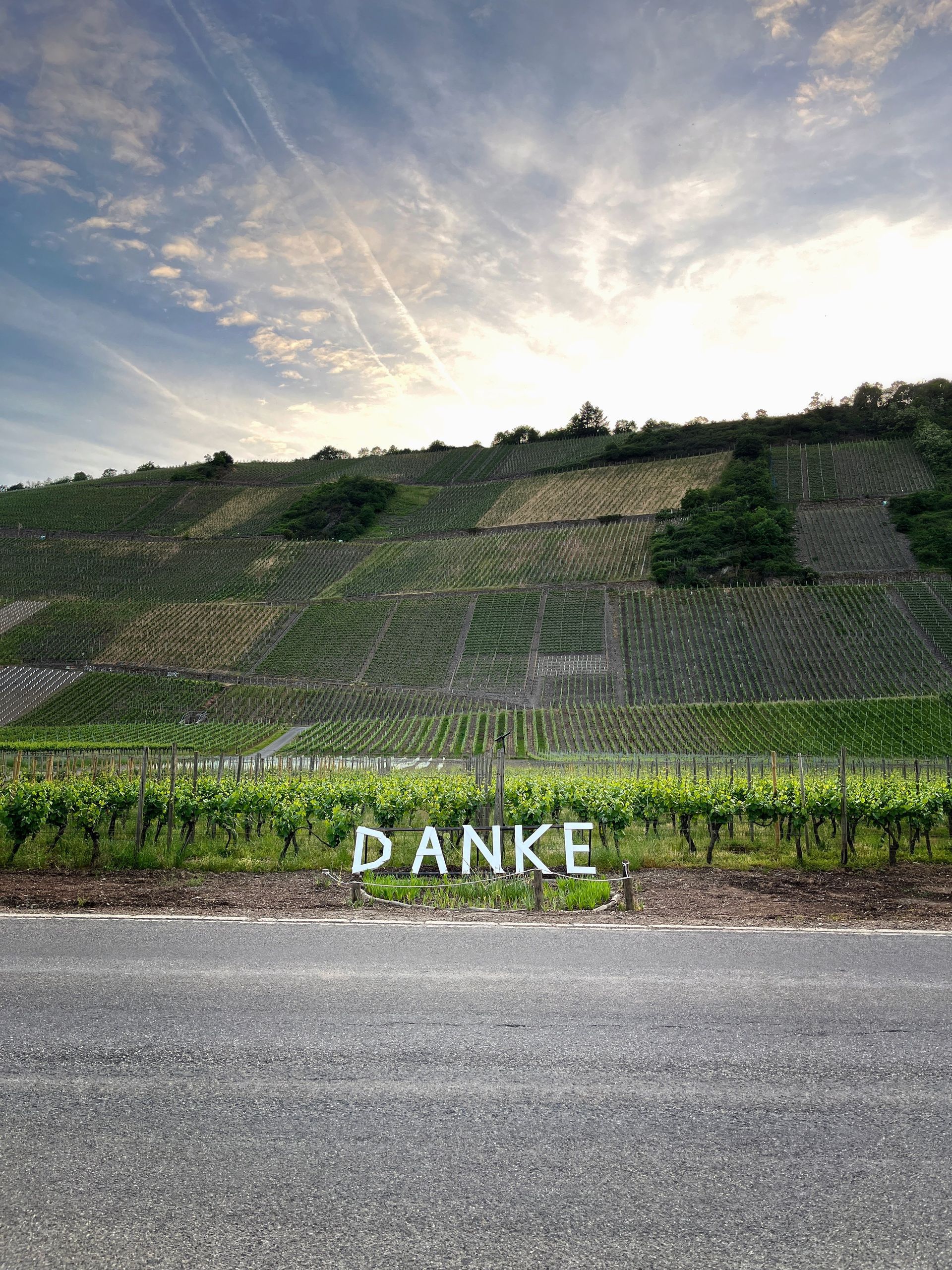 danke vineyard