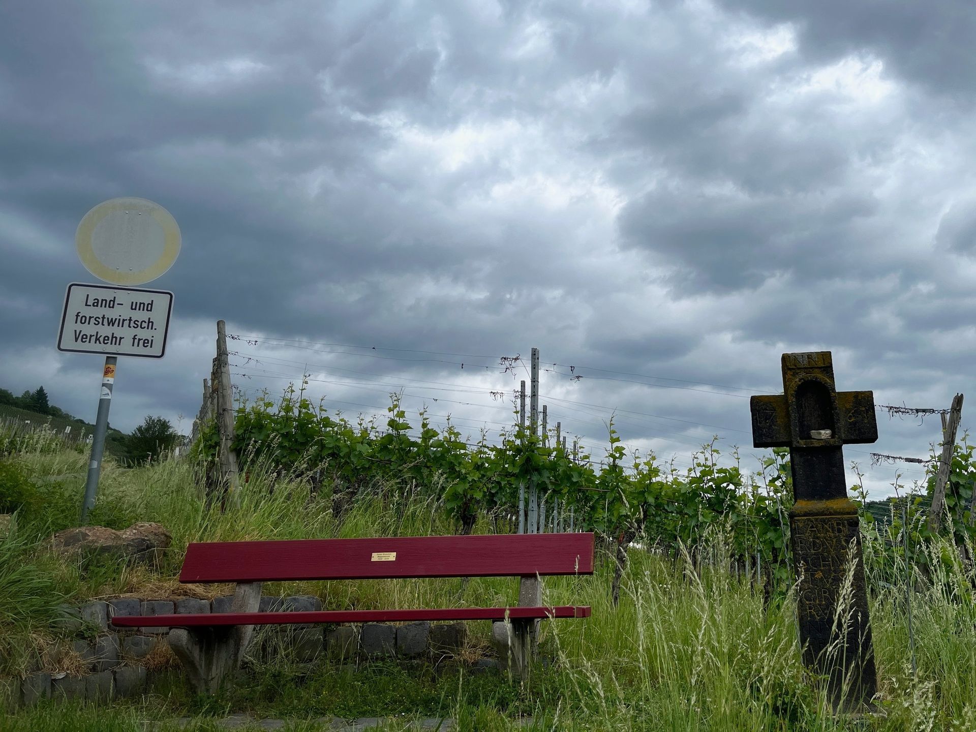 bench and cross in vineyard 